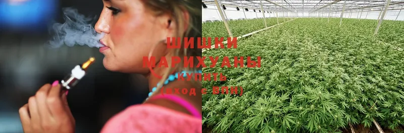 где купить наркоту  блэк спрут   МАРИХУАНА THC 21%  Всеволожск 